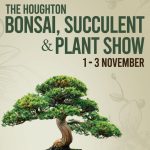 Step Into a Summer Oasis: The Houghton Bonsai, Succulent, and Plant Show Blooms Back This November!