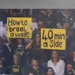 Springboks 45 Wales 12. Seen this image on X. Thort it was brilliant. The Boks just get better and better.