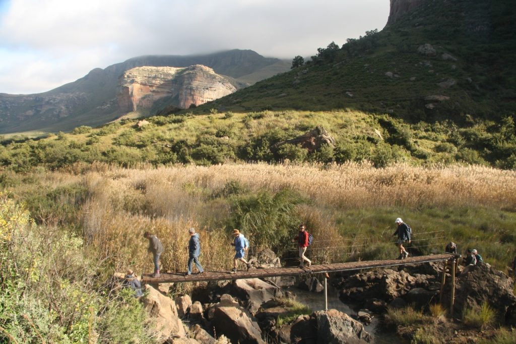 What’s On: The Golden Gate MTB & Trail Run: 8 March 2025