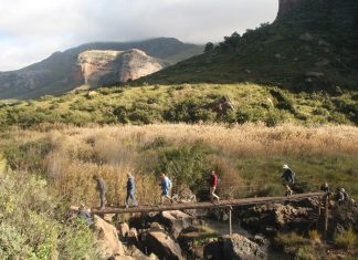What’s On: The Golden Gate MTB & Trail Run: 8 March 2025