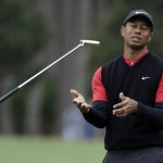 THEORY OF TIGER WOODS