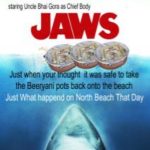 What really happened on.the.Beaches.of.Elangeni