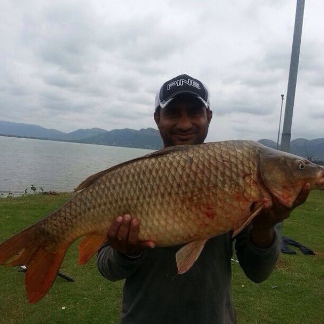 Sublime Catch. Monster Carp caught at the vaal. Sent in by @banjo_hbc