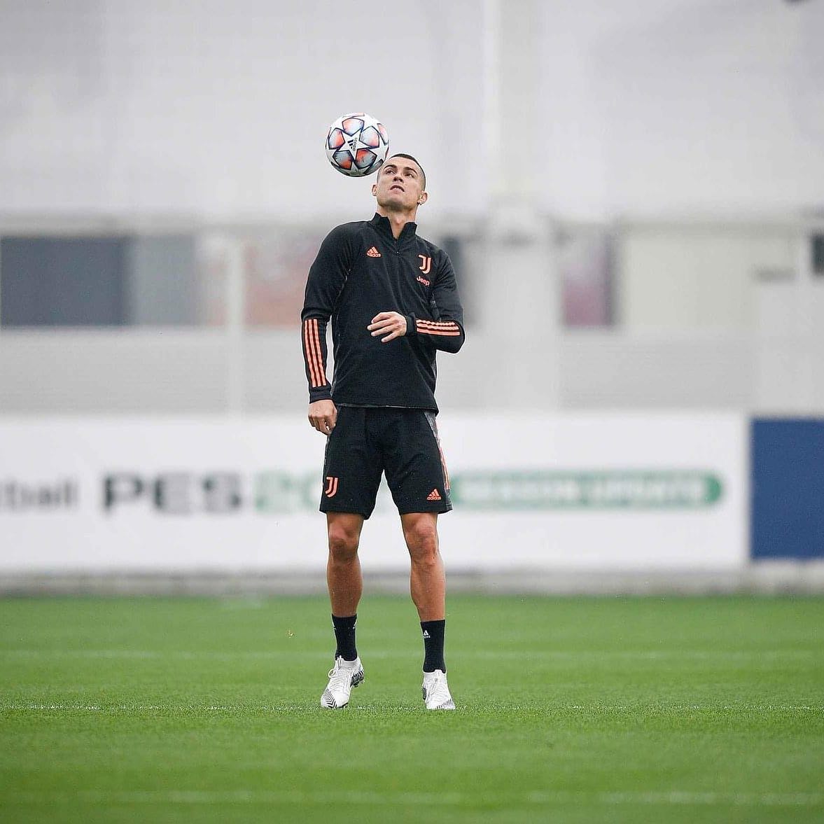 Calm before the Storm. Juve prepare for Ferencvaros at the Puskas stadium in Budapest. Forza Juve. Must go home with 3 points