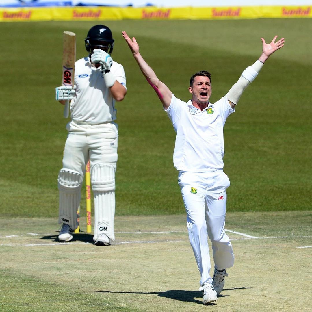 Steyn Celebrates. We should win this test? Have you been watching. How's the test series going? How will we fair against the Ozzies #cricket #testseries #sa #newzealand #proteas #savsnewzealand #centurion #dalesteyn