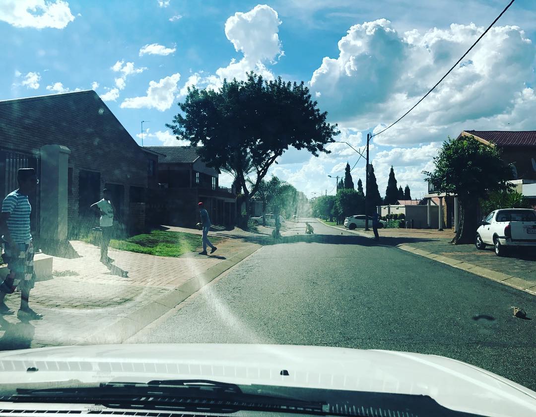 Driving and had to stop because litys were playing Ball on the road. What a Thing and What a sight. This is rare #ball #streetsoccer #2bricks #mosquitovalley #lenasia #ilovethisgame