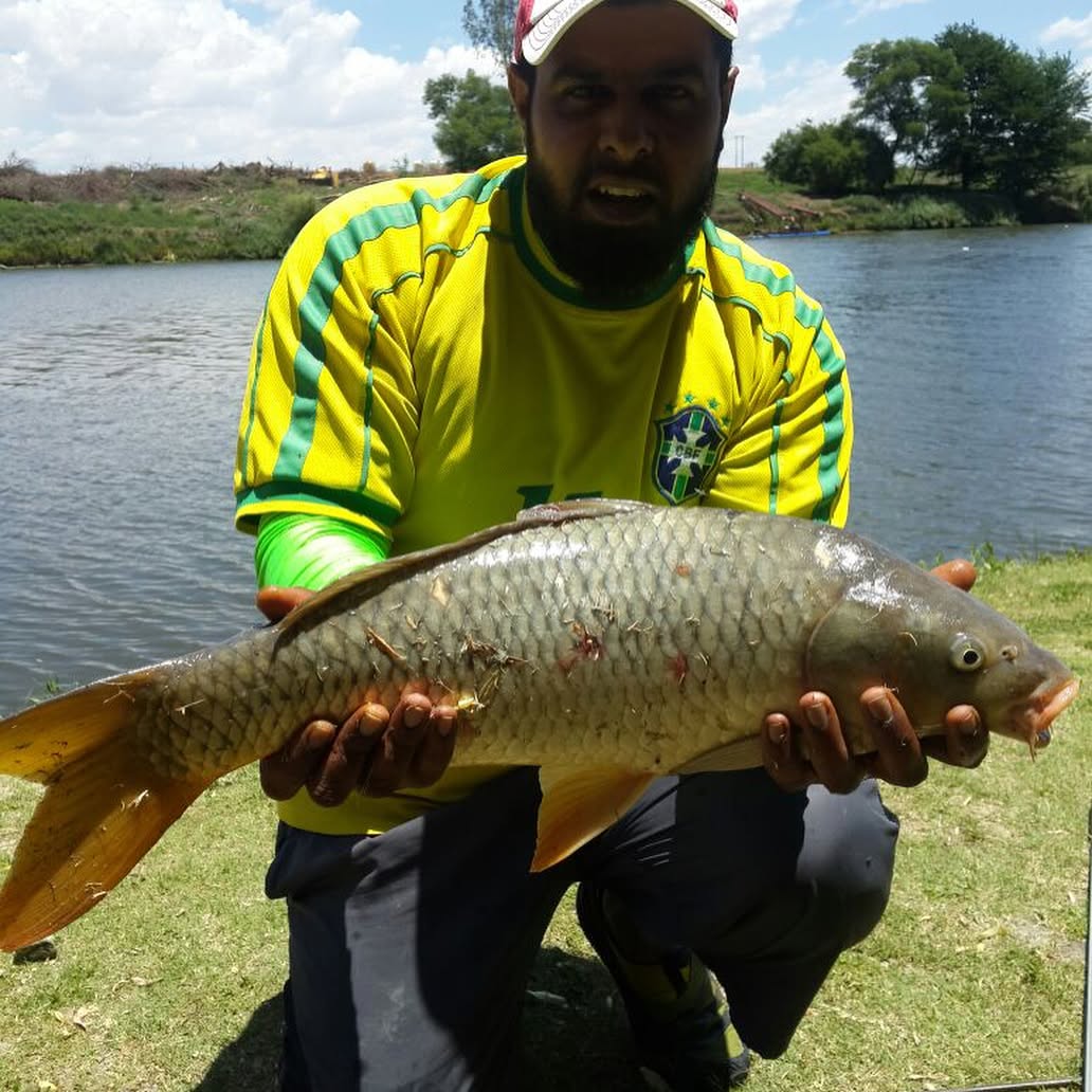 Mamoo pulling out at Chibus Farm in Potch*Share your catches by emailing info@swoosh0018.com or inbox us#fishing #fish #carp #angling #fishingislife #fishing #carp #potch #potchefstroom #chibusfarm #potch #outdoors #adventure
