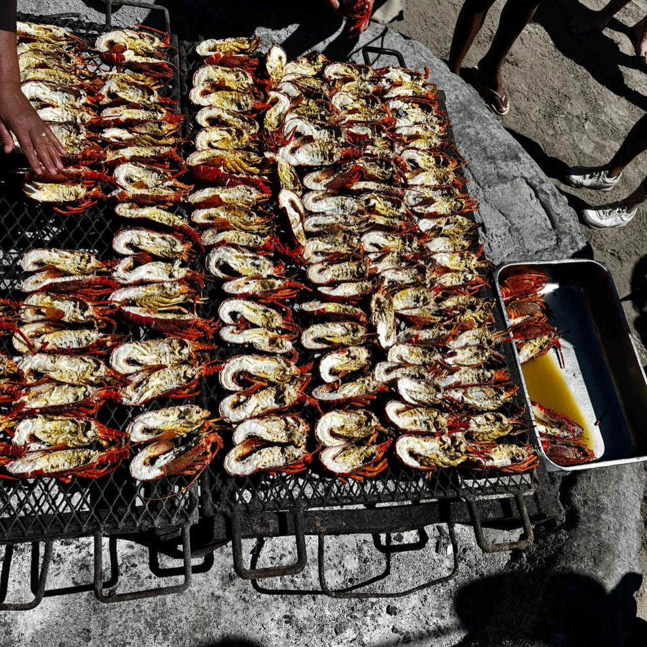A visit to the @diestrandloper in Langebaan by Shaheen Du Toit. That looks sublime Shaheen#strandloper #seafood #prawns #crayfish #langebaan #travel #travelgram #instatravel #travelpics #prawnbraai #capetown #fish #freshfish #beach #ocean