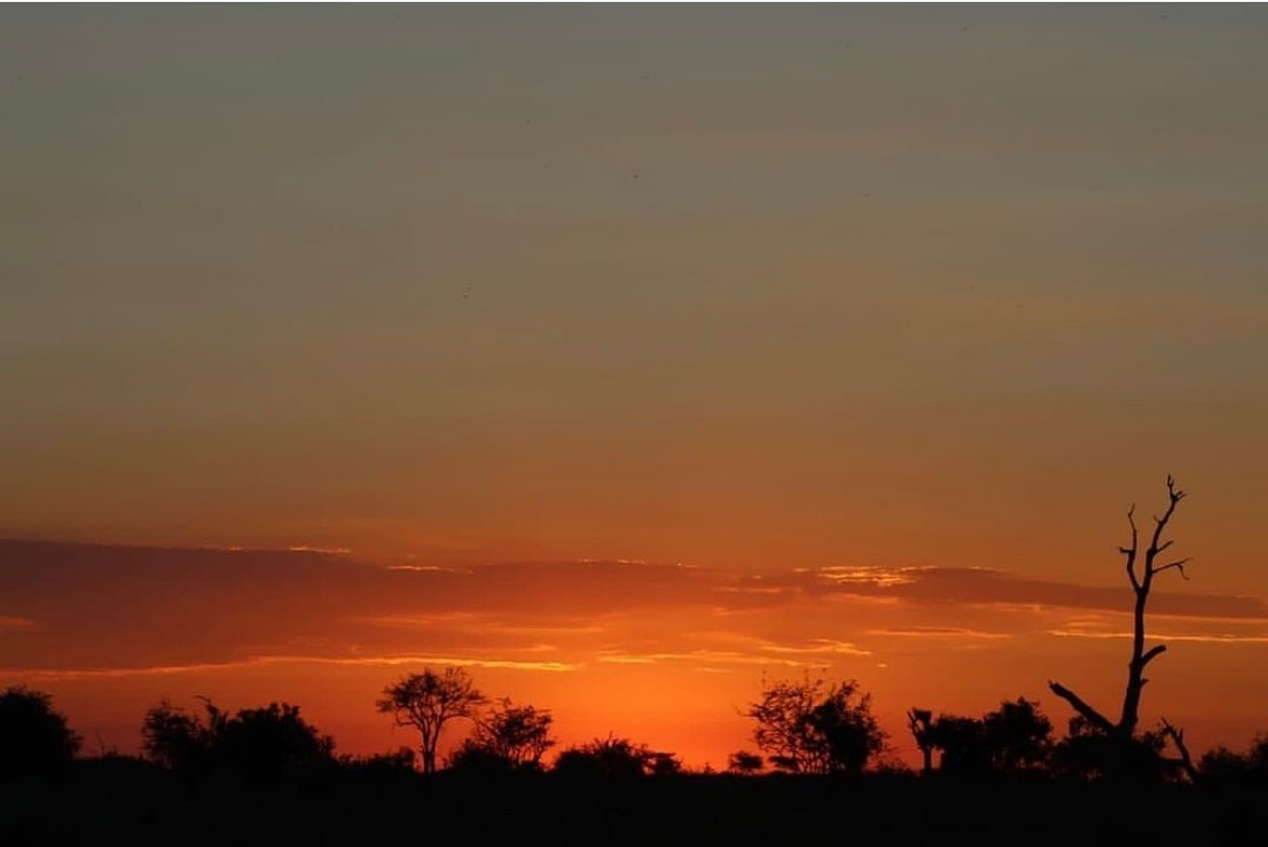 Sunset at Croc Bridge by @kruger_stories @joey_kola_777 #0018travel #travel #kruger #krugersunsets #sunsets #sunsetlover #africansunsets #africanskies #travelgram #travelpics #bush #krugernationalpark