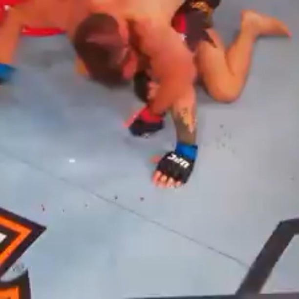 We couldn’t watch it live but TV videos will do ️. All hell broke lose after Khabib beat Mcgregor. Did you watch it. How was the fight #ufc #khabibvsmcgregor