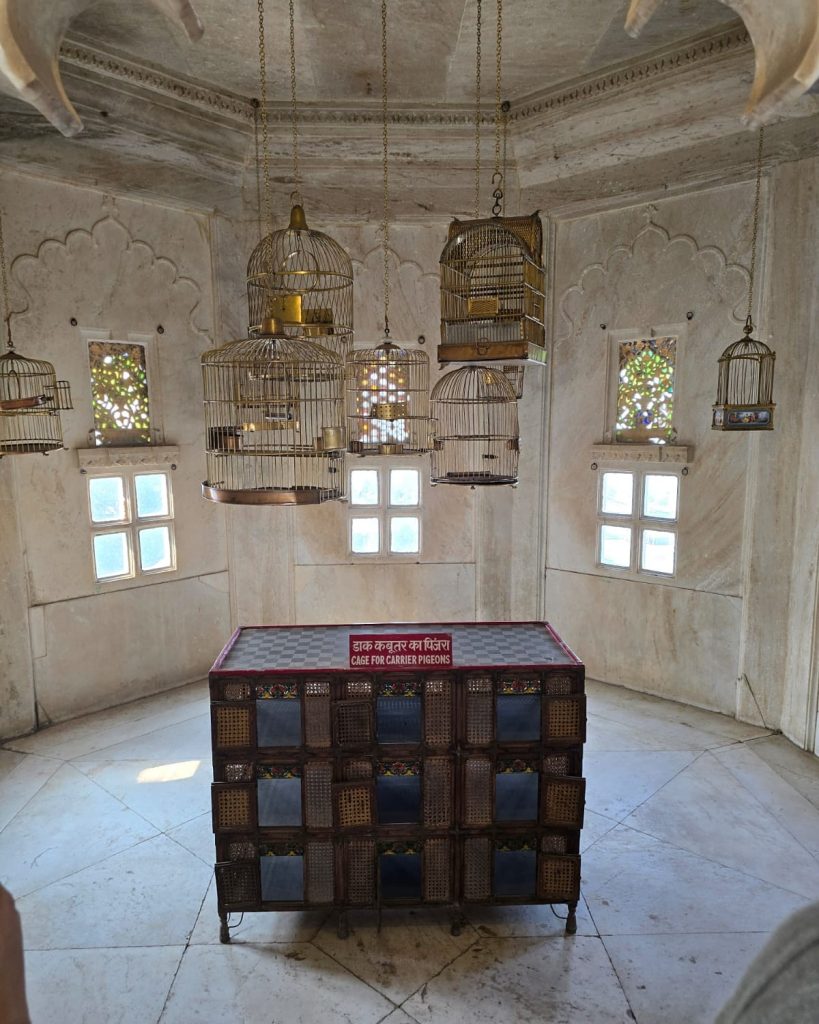 India in some pics @arshad_mk #travel #travelpics #india #indiatravelgram #instatravel #indiapics #indiancuisine #indianfood #culture #indiatravel #indiatourism #gangaurghat #udaipur #rajasthantourism