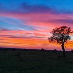 Sunrise at Satara, Kruger National Park by our UTD man Mamoo #sunrise #knp #krugernationalpark #satara #sunrise