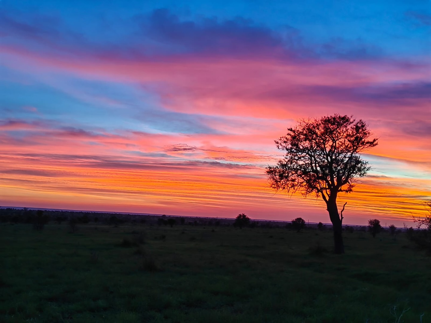 Sunrise at Satara, Kruger National Park by our UTD man Mamoo #sunrise #knp #krugernationalpark #satara #sunrise