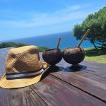 🇲🇿 Coconut 🥥 Shakes at Sky Lounge in Ponta Malongane by @crescent_braai