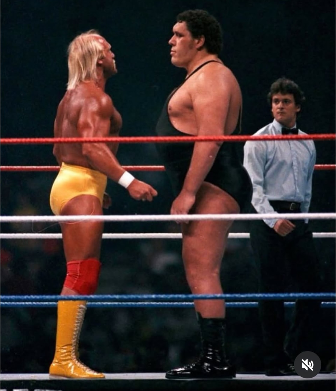 Most iconic shots in Sports History. Hulk Hogan faces Andre the Giant on Wrestlemania 3 in front of a packed 93 173 fans in the Pontiac Silverdome