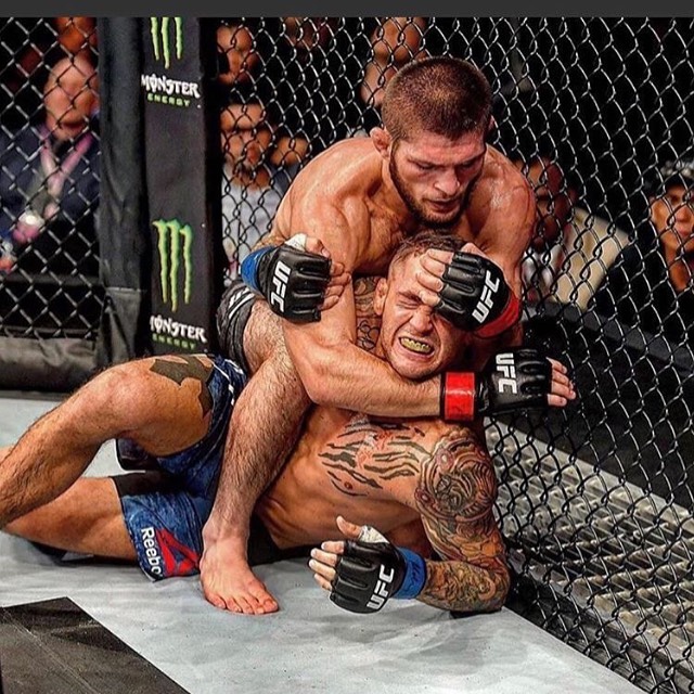 Khabib Nurmagonedov the king of the Octagon. Victory in Round 3 by submission #ufc #khabibnurmagomedov #khabibnurmagomedovvsdustinpoirier #dustinpoirier #abudhabi #cagefighter