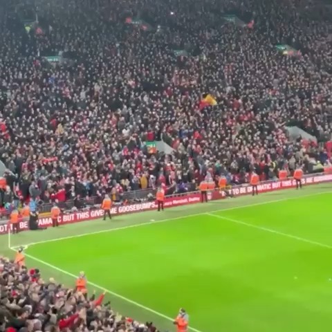 All the Action from last nights Liverpool vs Man Utd game at Anfield from the 0018 Lads on the Ground and other Lads that watched the game #liverpoolvsmanchesterunited #lfc #liverpool #liverpoolfans #lfcfans #mancs #reds #YNWA #anfield #thisisanfield #kop #kopend #englishpremierleague #epl