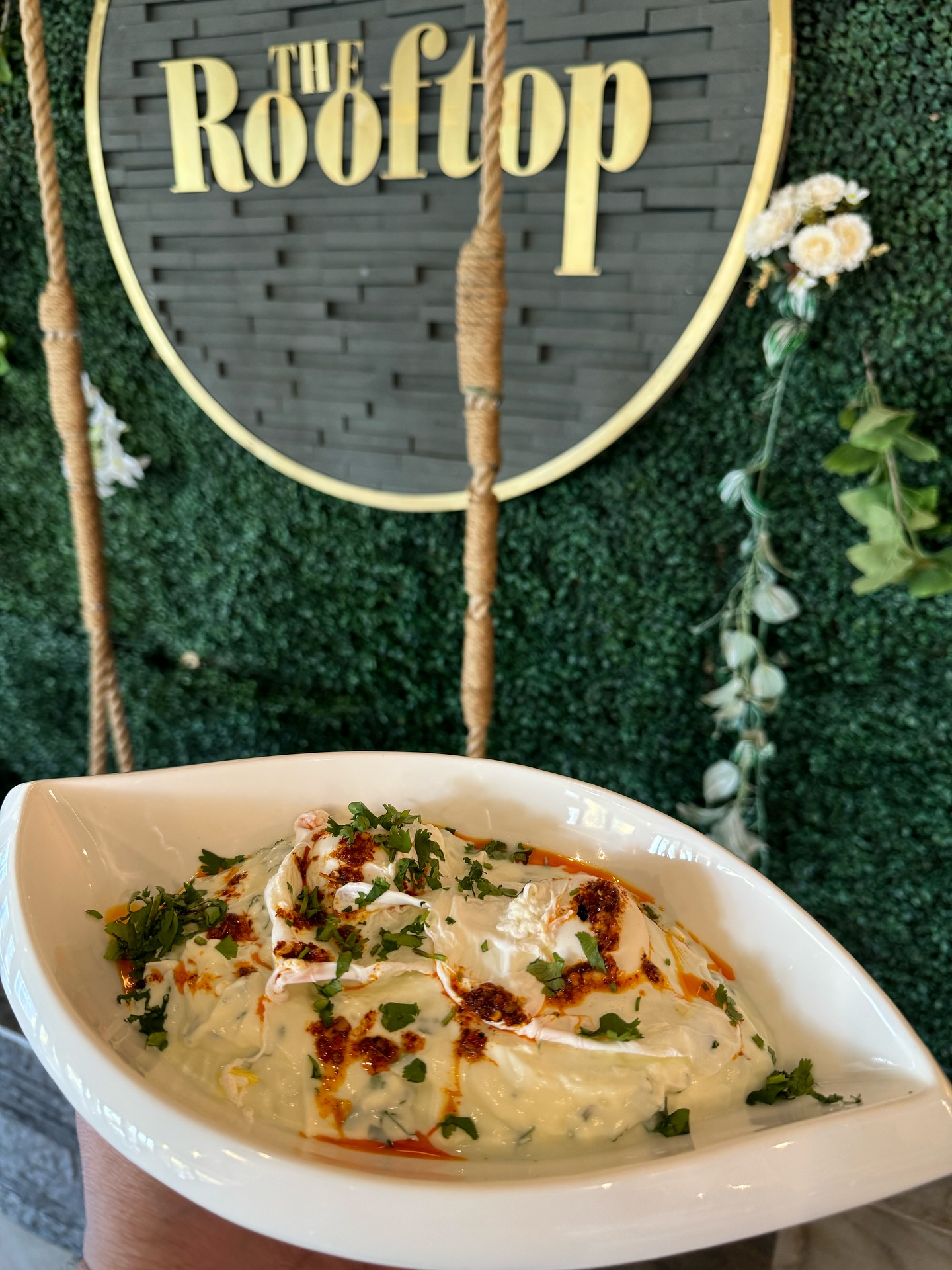 Turkish Eggs this morning at @the_rooftop_cafe on Oxford #halaal