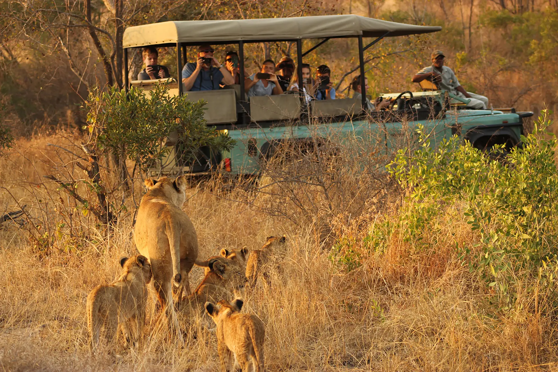 Sublime Halaal Places to Chow in the Mpumalanga This Festive Season