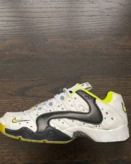 <strong>Nike Agassi Air Zoom Pounce </strong>
