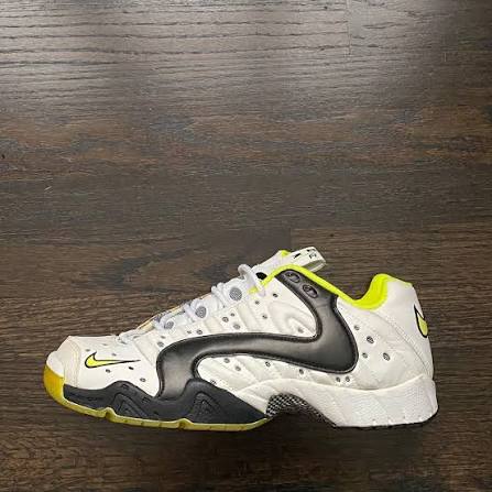 <strong>Nike Agassi Air Zoom Pounce </strong>