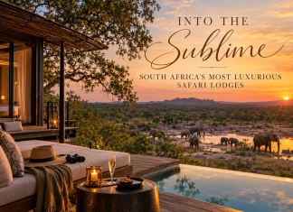 South Africa’s Most Luxurious Safari Lodges