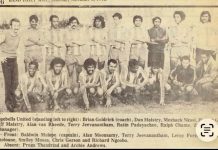 Bluebells United in the Past. Drop a Comment