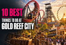 The 10 BEST Things to Do at Gold Reef City