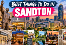 Best Things to Do in Sandton – More Than Just Business and Shopping