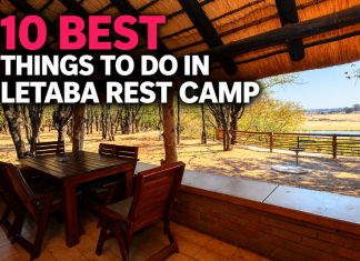 10 Best Things to Do in Letaba Rest Camp: Take Your Time, Find the Wild