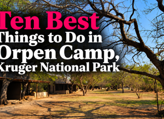 Ten Best Things to Do at Orpen Camp in Kruger National Park