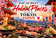 Tokyo, with a Taste of the Extraordinary: The Top 10 Halaal Places to Eat in Japan’s Dazzling Capital