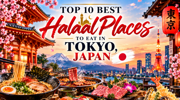Tokyo, with a Taste of the Extraordinary: The Top 10 Halaal Places to Eat in Japan’s Dazzling Capital