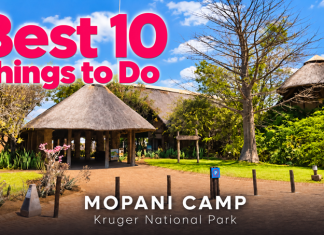 The Ten Best Things to Do at Mopani Camp in Kruger National Park