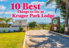 10 Best Things to Do at Kruger Park Lodge