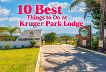 10 Best Things to Do at Kruger Park Lodge