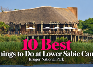 The Ten Best Things to Do at Lower Sabie Camp in the Kruger National Park