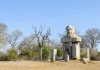 Paul Kruger Gate: Where the Journey Into Kruger Begins